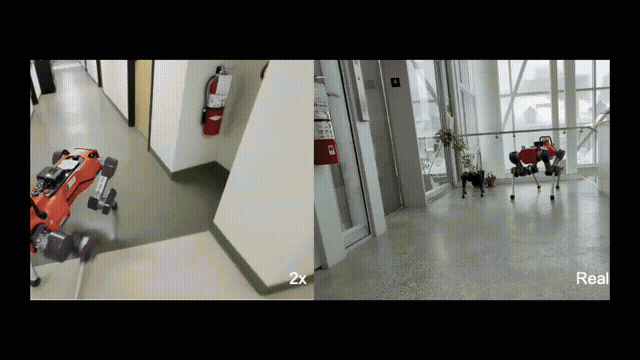 QWM zero-shot locomotion transfer